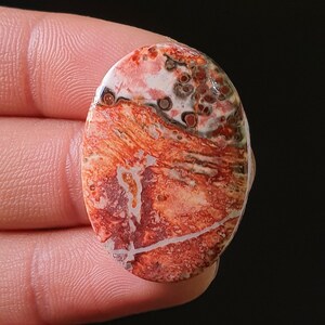 100% natürliche Leoparden Haut Jaspis Cabochon - Glatte polierte Cabochon - Leoparden Haut Jaspis Kristall für Schmuck machen Anhänger 33x25x6mm. 32Ct