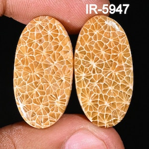 Natural Fossil Coral Cabochon Pairs -Smooth Fossil Coral Matching Pairs - Loose Gemstone Cabochon For Making Jewelry Supply ,DIY ARTS CRAFTS