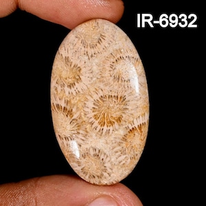 Natürlicher Fossil Korallen Cabochon - Lose Poliert - Anhänger Edelstein - Handgemachter Fossil Korallen Cabochon Für die Schmuckherstellung - Geschenk für Sie