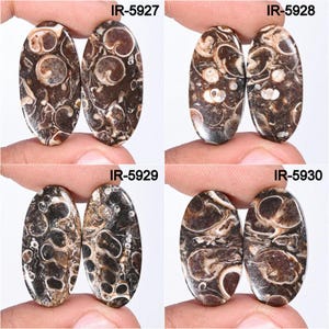Natural Turritella Agate Gemstone Matching Pairs, Turritella fossilized Cabochon, Loose Gemstone Pairs-Jewelry Making Supply, DIY ARTS Craft