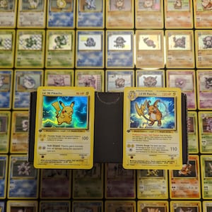 LV.99 Pikachu & Raichu