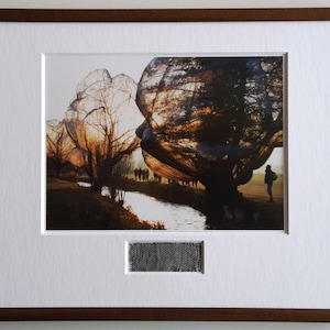 Christo – Wrapped Trees – artcard XL, framed with original fabric