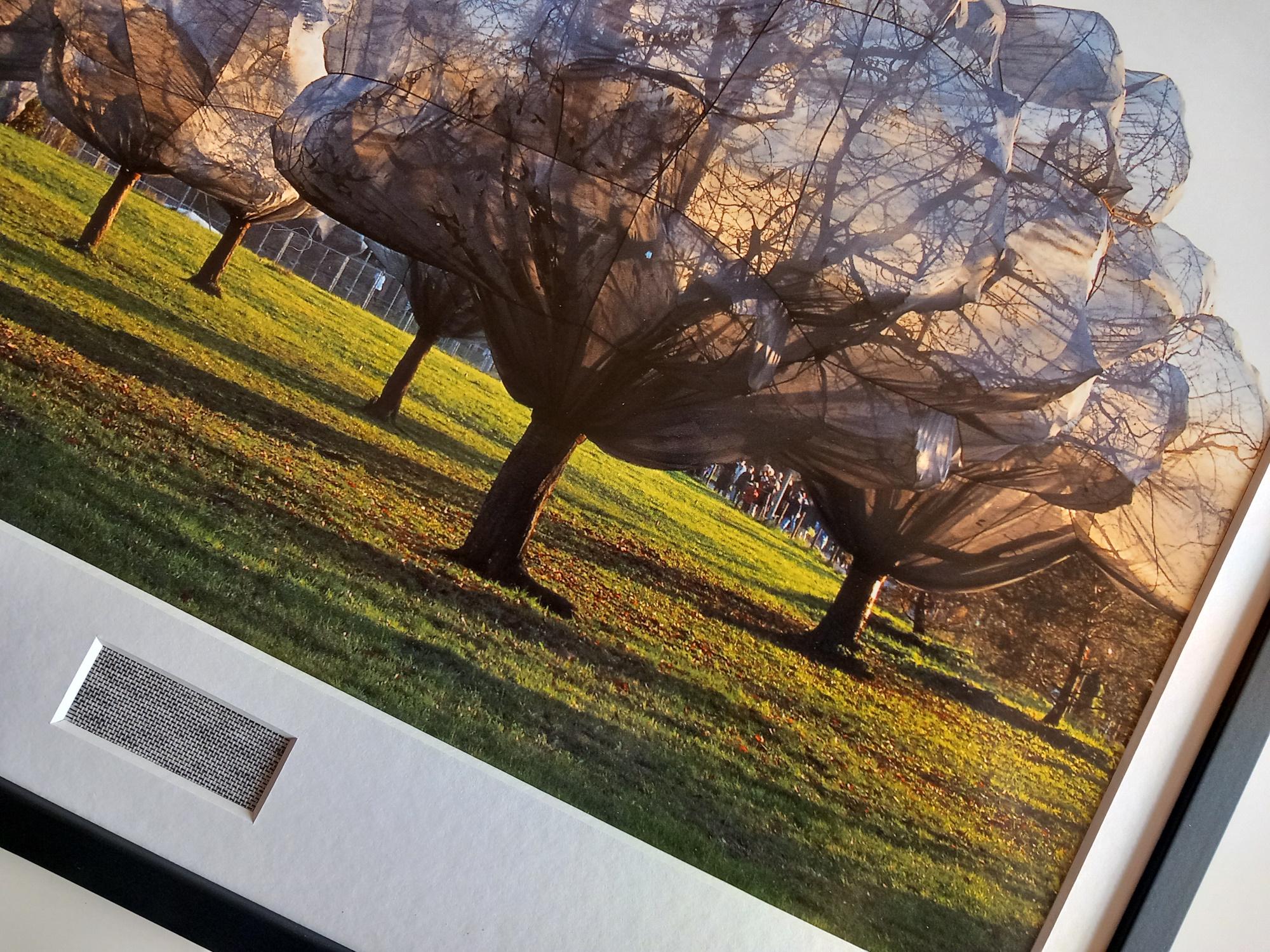 Christo & Jeanne-claude – Wrapped Trees – Art Print XXL Framed