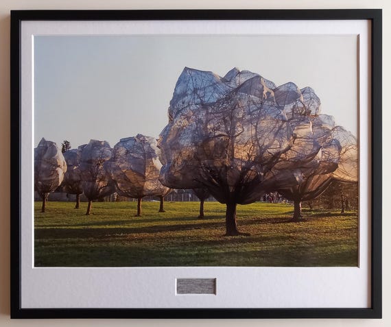 版画 Christo & Jeanne-Claude/Wrapped Trees-1 Christo & Jeanne-claude – Wrapped Trees – Art Print XXL Framed