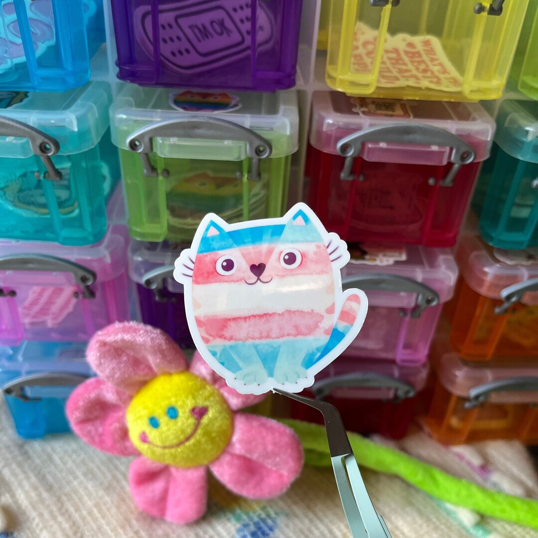Trans Pride Cat Sticker. - Etsy