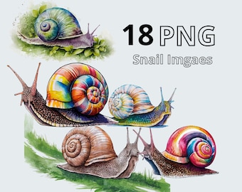 Snail Bundle Png ,  Watercolor Snails Clipart, Wall Art Tshirt Sublimation Download Files Snail Print