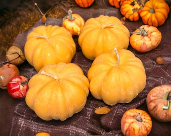 Pumpkin Patch