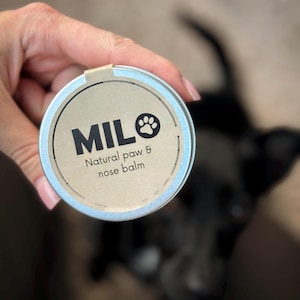 Natural dog PAW BALM protecting and moisturising cream for dogs paws