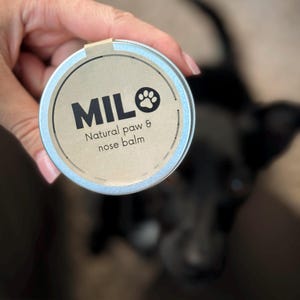 Natural dog PAW BALM moisturizing and protecting paws cream - gift for a dog