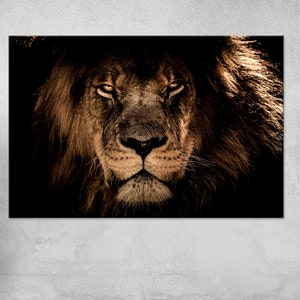Lion head photography print Extra large wall art Room decor Oversized wall decor Lion wall art Animal painting Free shipping Canvas wall art
