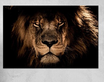 Lion head photography print Extra large wall art Room decor Oversized wall decor Lion wall art Animal painting Free shipping Canvas wall art