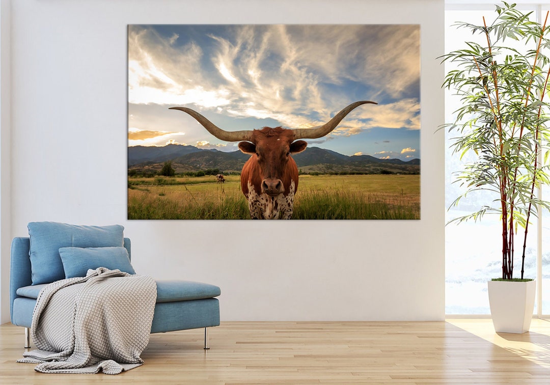 Longhorn Cow Photo Print Extra Large Wall Art Farmhouse Decor Kitchen longhorn-cow-photo-print-extra-large-wall-art-farmhouse-decor-kitchen