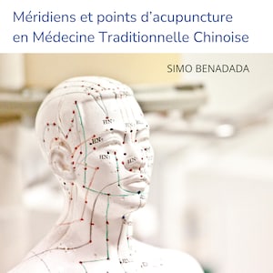 Meridians and acupuncture points in traditional Chinese medicine