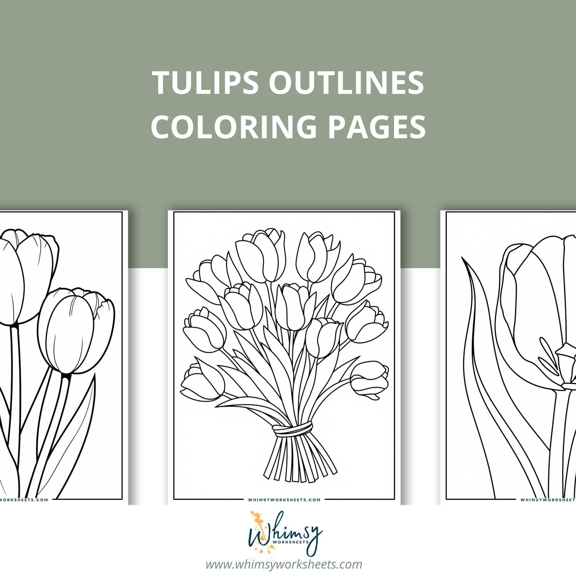 80 Tulip Coloring Pages | Floral Outline Art for Adults & Kids (PDF) - Etsy