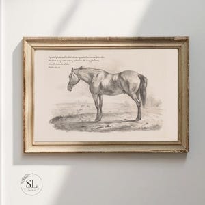 Christian Resting Horse Print Vintage Sketch of Horse WallArt Modern Farmhouse Wall Decor Psalm Scripture Oversize Wall Print