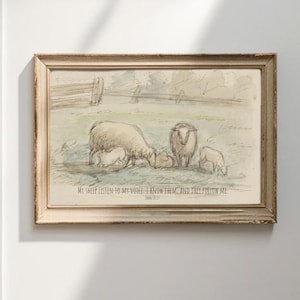 Christian Vintage Sheep and Lambs Sketch Modern Farmhouse Cottage Decor Wall Art Oversized Antique Drawing John 10:27 Nursery Print and Ship