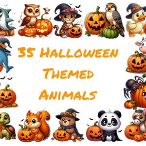 Colección de animales de Halloween en acuarela, 35 imágenes PNG de animales con calabaza, imágenes prediseñadas de alta calidad para imprimir en 4K 300 DPI