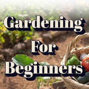 Gartenarbeit für Anfänger E-Book, So starten Sie ein Garten-E-Book, Pflanzen, Anfängerleitfaden für die Gartenarbeit, einen Garten beginnen, digitaler Gartenführer