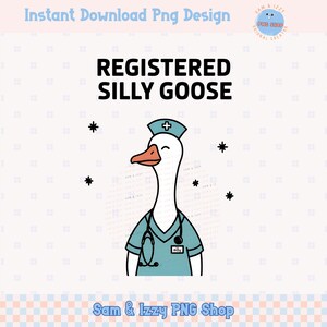 Geregistreerde Silly Goose RN sublimatie png verpleegkundige cadeau, verpleegschool student grappige gans png schattige retro gans cadeau trending verpleegkundige dag png