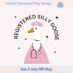 Geregistreerde Silly Goose RN sublimatie png verpleegkundige cadeau, verpleegschool student grappige gans png schattige retro gans cadeau trending verpleegkundige dag png