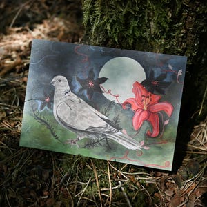 Pigeon la nuit - Carte postale A6