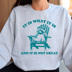 It Is What It Is And It Is Great Sweatshirt Funny Raccoon Sweatshirt Meme Shirt Raccoon Gift Humorous Sweatshirt Raccoon Lover Gift