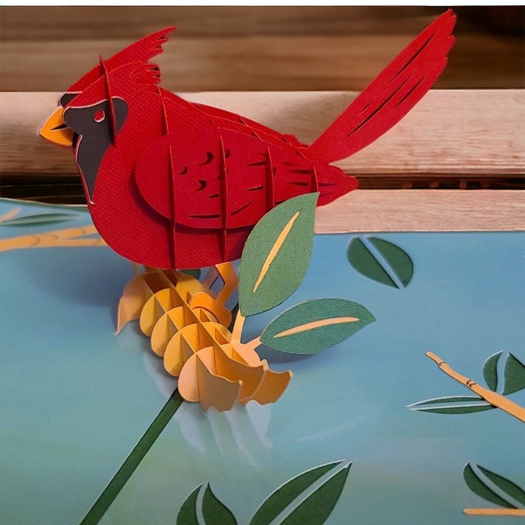 Christmas Card Pop up Bird Gift for Bird Owners, Gifts for Kids, Gifts