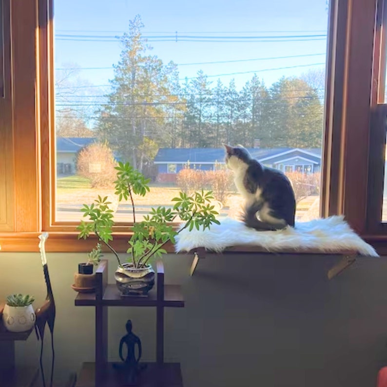 Cat Window Perch, Window Sill, Cat Shelf, Easy Installation, No Tools or Nails Required Etsy