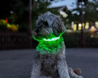 GlowGuard™ LED Dog Collar – USB Rechargeable, Waterproof Safety Light for Night Walks