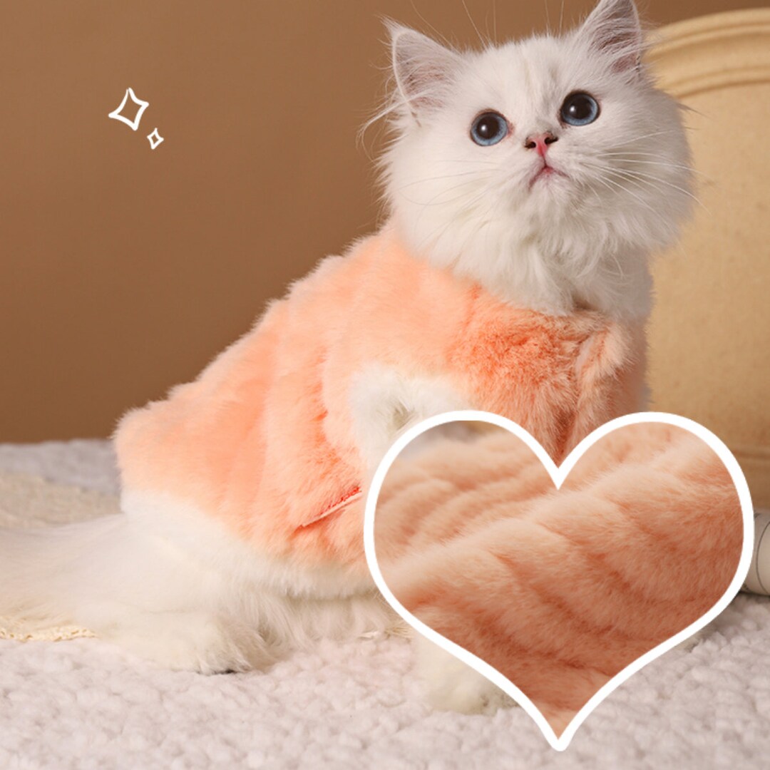 Warm Velvet Winter Kawaii Suits for Cat Cat Winter Clothes Etsy