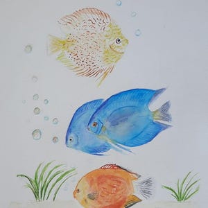 Discus Fish Watercolor Painting, Tropical Aquarium Wall Art, 25x35 cm Original,Tropical Fish Painting Art, Colorful Fish Wall Decor