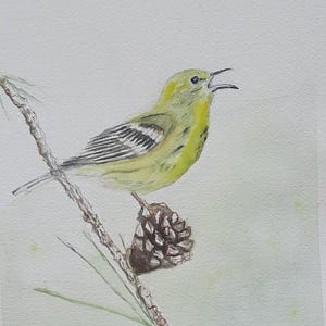 Yellow Warbler Watercolor Painting – Yellow Warbler Painting, Yellow Bird Wall Decor, Nature Wildlife Art -Yellow Warbler Watercolor Art