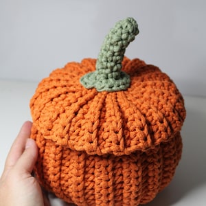 May include: A handmade, orange crochet pumpkin with a green stem. The pumpkin is round with vertical ribbing and a lid. The stem is a twisted, light green colour. The pumpkin is a decorative item.