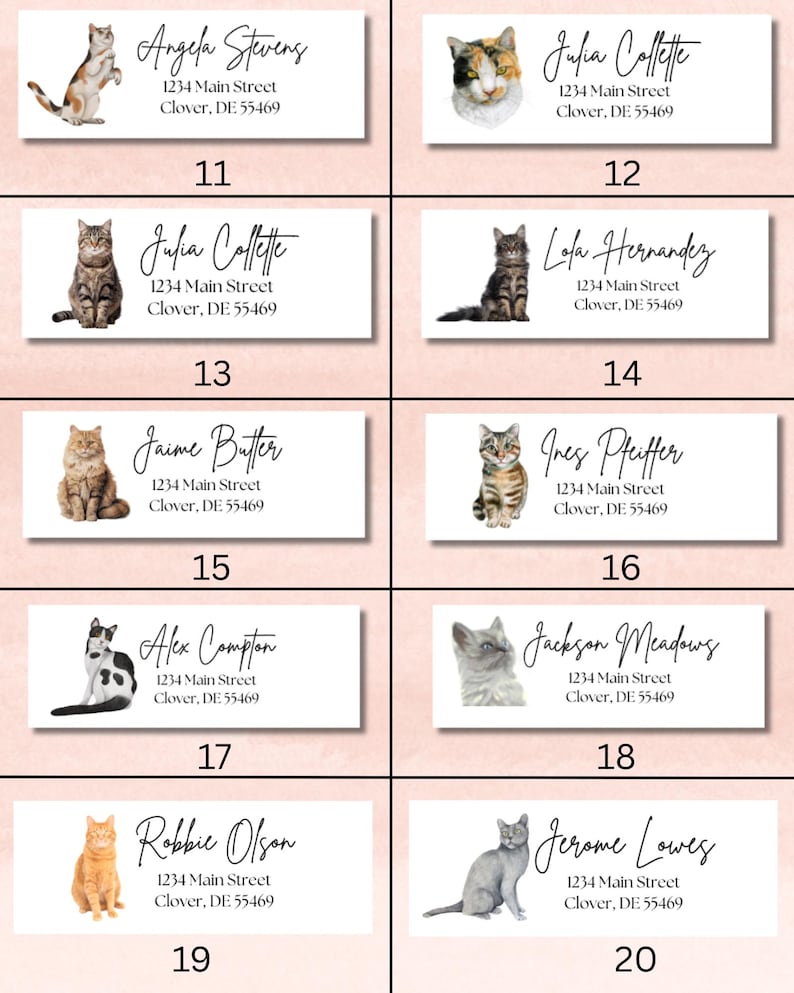 Custom Cat Breed Return Address Labels: Personalized Stickers - Mailing ...