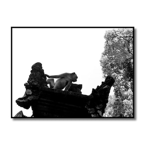 Black and White Monkey Photography Print, Monkey in Bali Wall Art, Gift for Monkey Lovers, Wildlife Photography, Monkey on Temple Roof Bali