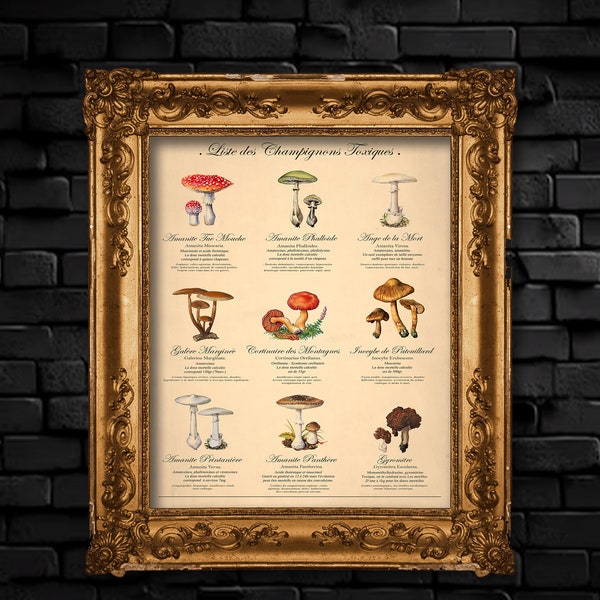 Affiche champignons toxiques + description des effets FR