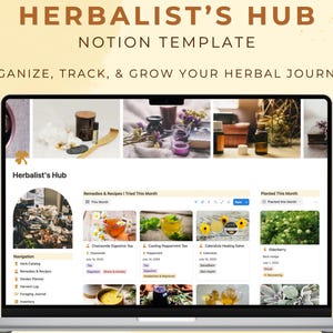 Könnte beinhalten: Ein Laptop-Bildschirm zeigt die Notion-Vorlage "HERBALIST'S HUB". Die Vorlage soll Benutzern helfen, ihre Kräuterreise zu organisieren, zu verfolgen und auszubauen. Der Bildschirm zeigt ein Dashboard mit Abschnitten für Heilmittel, Rezepte und gepflanzte Kräuter.