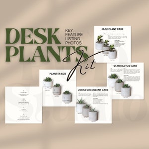 Planta de escritorio TeeLaunch Acerca de este listado Tabla de tamaños de archivos Instrucciones de cuidado descargables e información sobre el material Plantilla comercial impresa bajo demanda