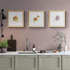Set di 3 Stampe Botaniche 31x31 cm – Non Incorniciate – Passiflora, Hemerocallis, Melograno – Edizione Limitata