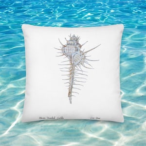 Cuscino Botanico Premium con Conchiglia Murex Troscheli - Arredo Elegante per Casa al Mare 45x45 cm - Edizione Limitata, solo 900 esemplari