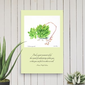 Stampa Botanica Echeveria – Edizione Limitata, Arte Floreale da Parete, Illustrazione di Pianta Grassa, Poster Botanico Senza Cornice