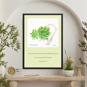 Arte Botanica & Citazioni: Stampe Succulente. Stampe Botaniche e Artistiche. Echeveria Agavoides Stampe - Edizione Limitata , 900 esemplari