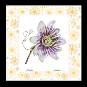 Stampa su carta fotografica di alta qualità – Arte botanica Passiflora in edizione limitata (900 copie) con certificato –Cornice non inclusa