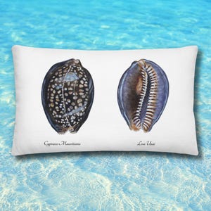Cuscino premium con conchiglia Cypraea mauritiana | Acquerello artistico | Retro personalizzabile | Arredo marino 50,8 x 30,5 cm (20" x 12")