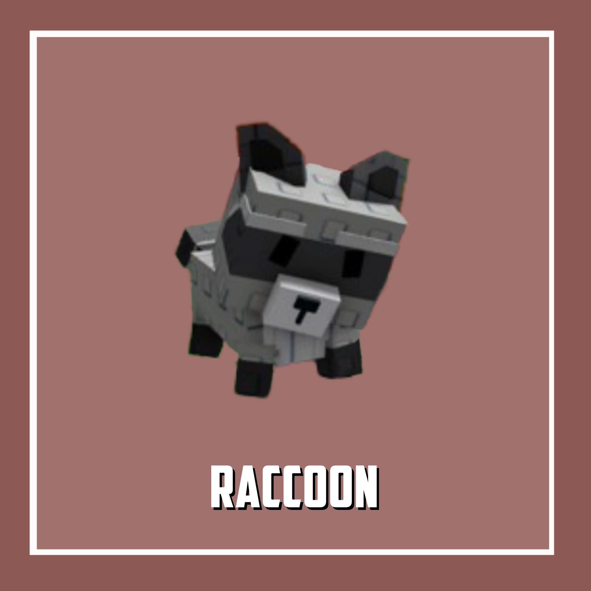 Raccoon | Grow a Garden / GAG Roblox - Read Description!