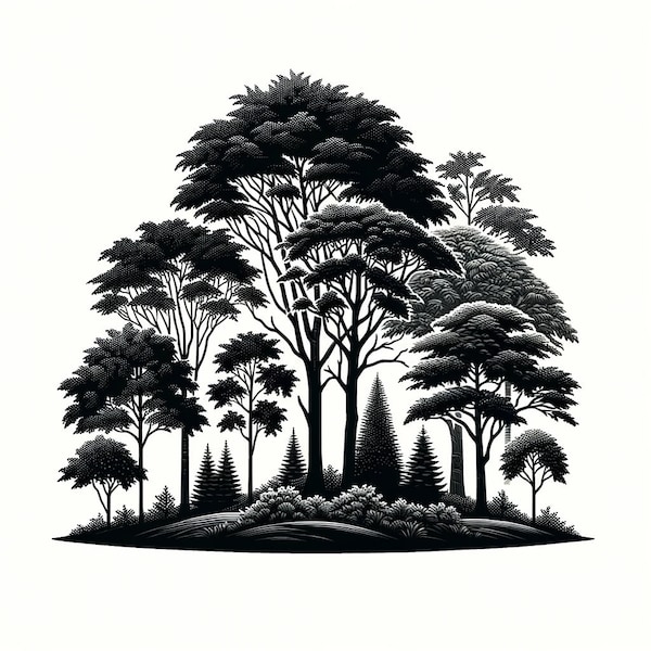 Group of trees Black & White .jpg