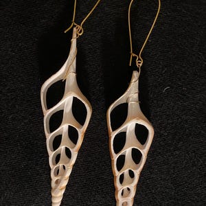 May include: A pair of gold earrings with a delicate, intricate design featuring a white seashell. The seashell is hollow and has a spiral shape.
