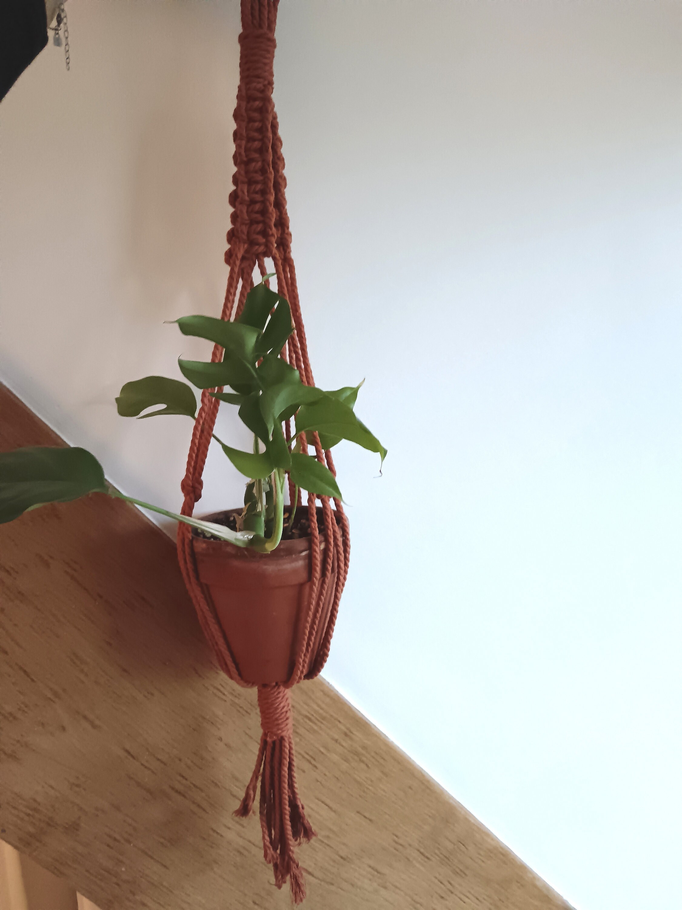 Suspension plantes , fleur ou bougie en macramé et son vase - Un grand  marché
