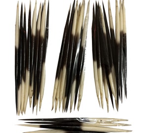 FREE SHIPPING - 5&quot;-6&quot; Porcupine Quills - African Porcupine Quills - Needles - Craft & Decor - Crafts - DIY! Buy More and Save!