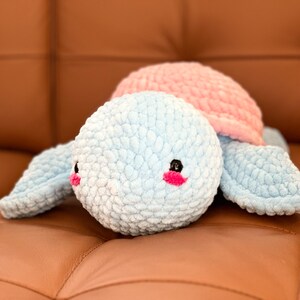 Cute Turtle